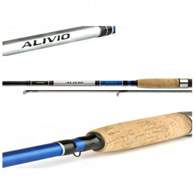 Спиннинг Shimano Alivio DX 210M 2.10m 10-30g