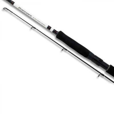 Спиннинг Shimano Vengeance BX Sea Bass 21H 2.1m 20-60g