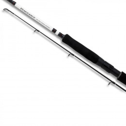 Спиннинг Shimano Vengeance BX Sea Bass 24H 2.4m 20-60g