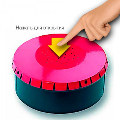 Коробка для опарыша DAM click maggot box