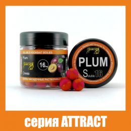 Бойли насадочні розчинні Grandcarp Attract Plum (Слива) 16mm 100g (BBS011)