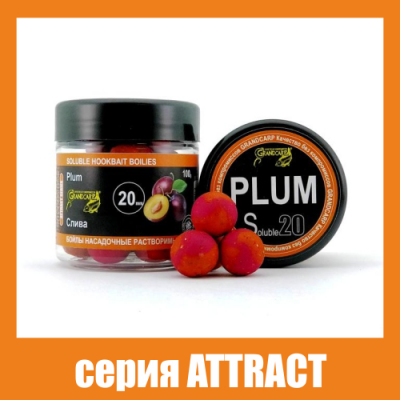 Бойли насадочні розчинні Grandcarp Attract Plum (Слива) 20mm 100g (BBS012)