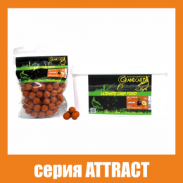 Бойлы вареные Grandcarp Attract Слива 24mm 1kg (BFC206)